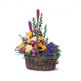 Plant and Flower Combination
